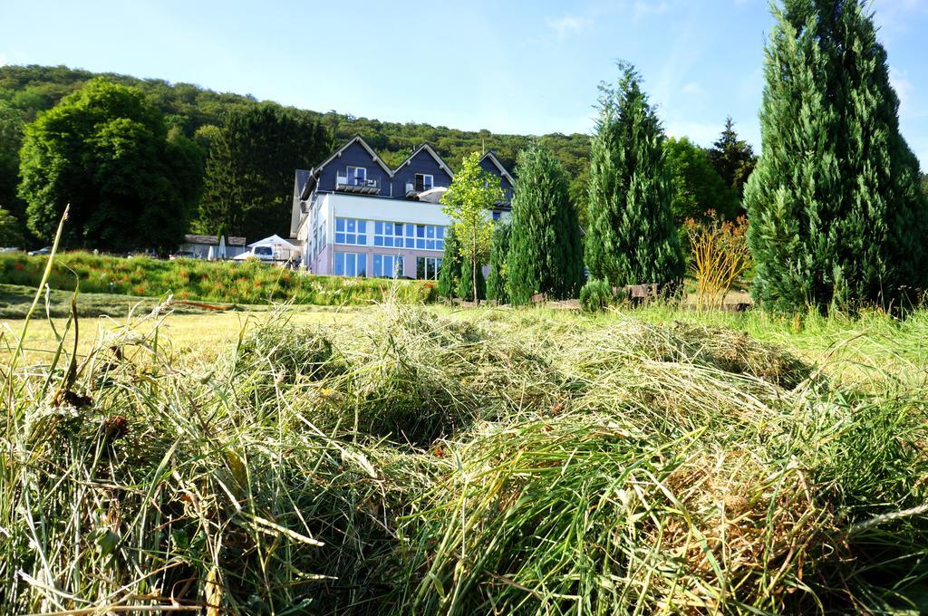 Waldhotel Schinkenwirt Olsberg Exterior photo